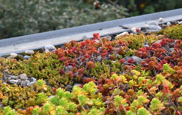 the cost of East Stoke green roof installation