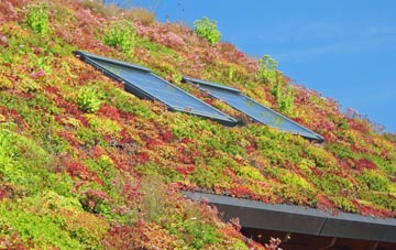 East Stoke living roof systems